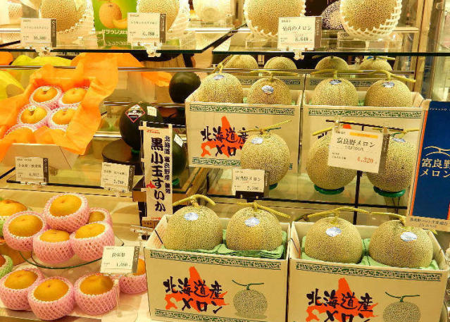 Daimaru Fujii Central: Top 6 Japanese Stationery Souvenirs at Sapporo's  Gigantic Specialty Shop!