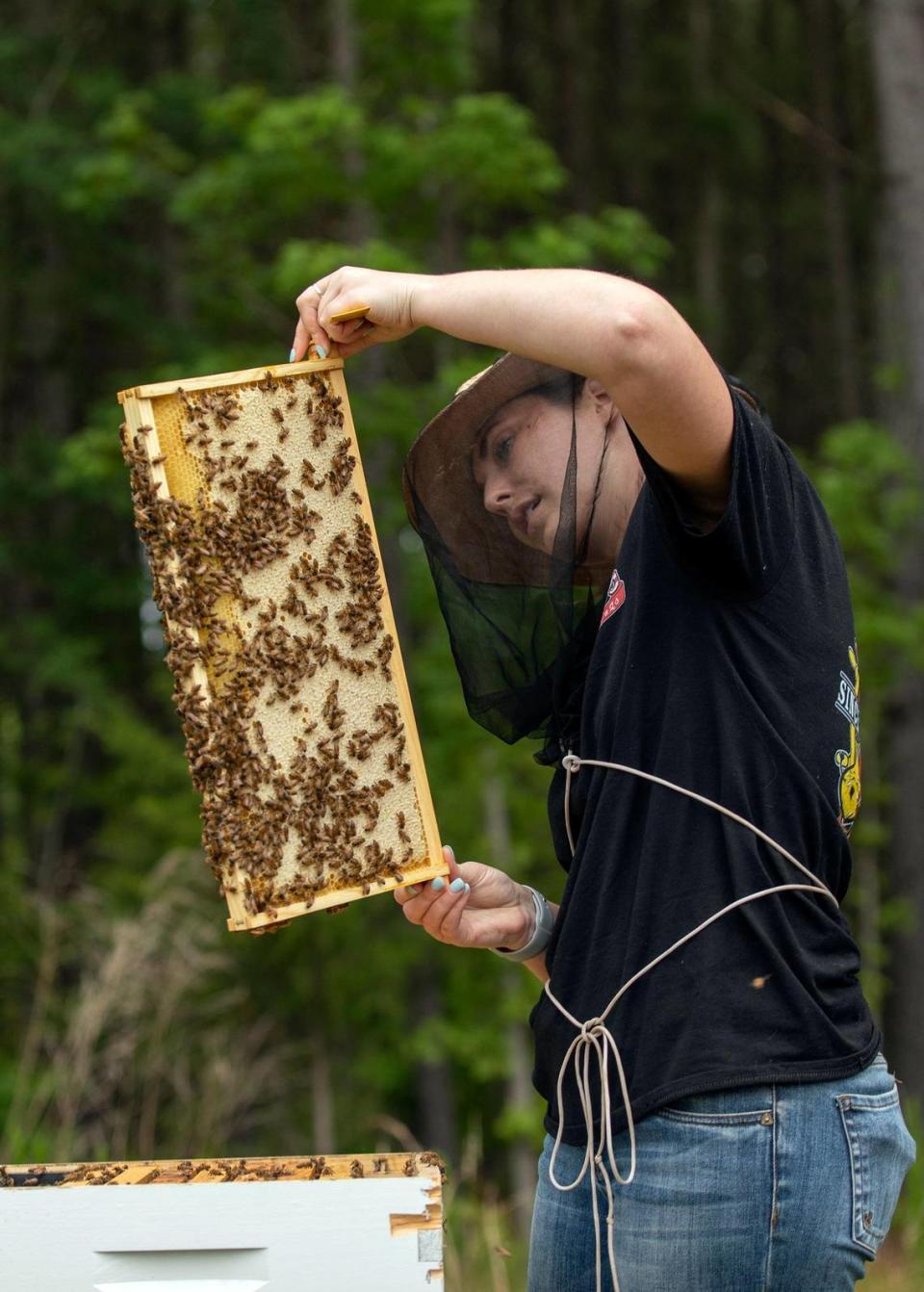 Leigh-Kathryn Bonner, founder and CEO of Bee Downtown, searches for the queen bee during a hive check at Panther Creek Farm on Wednesday, Jun. 12, 2019, in Durham, NC.