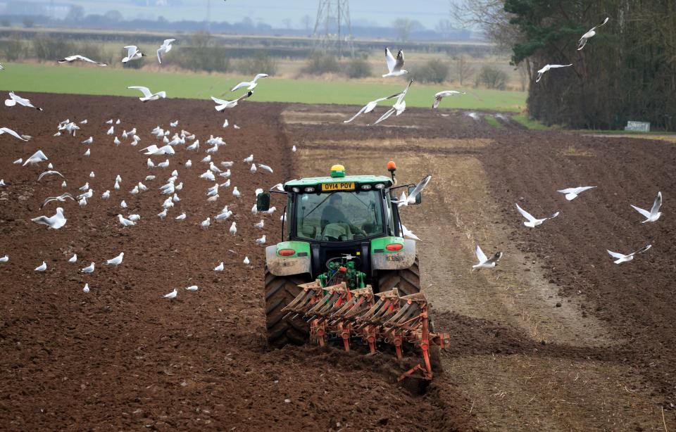 A farmer ploughs a field (PA Wire)