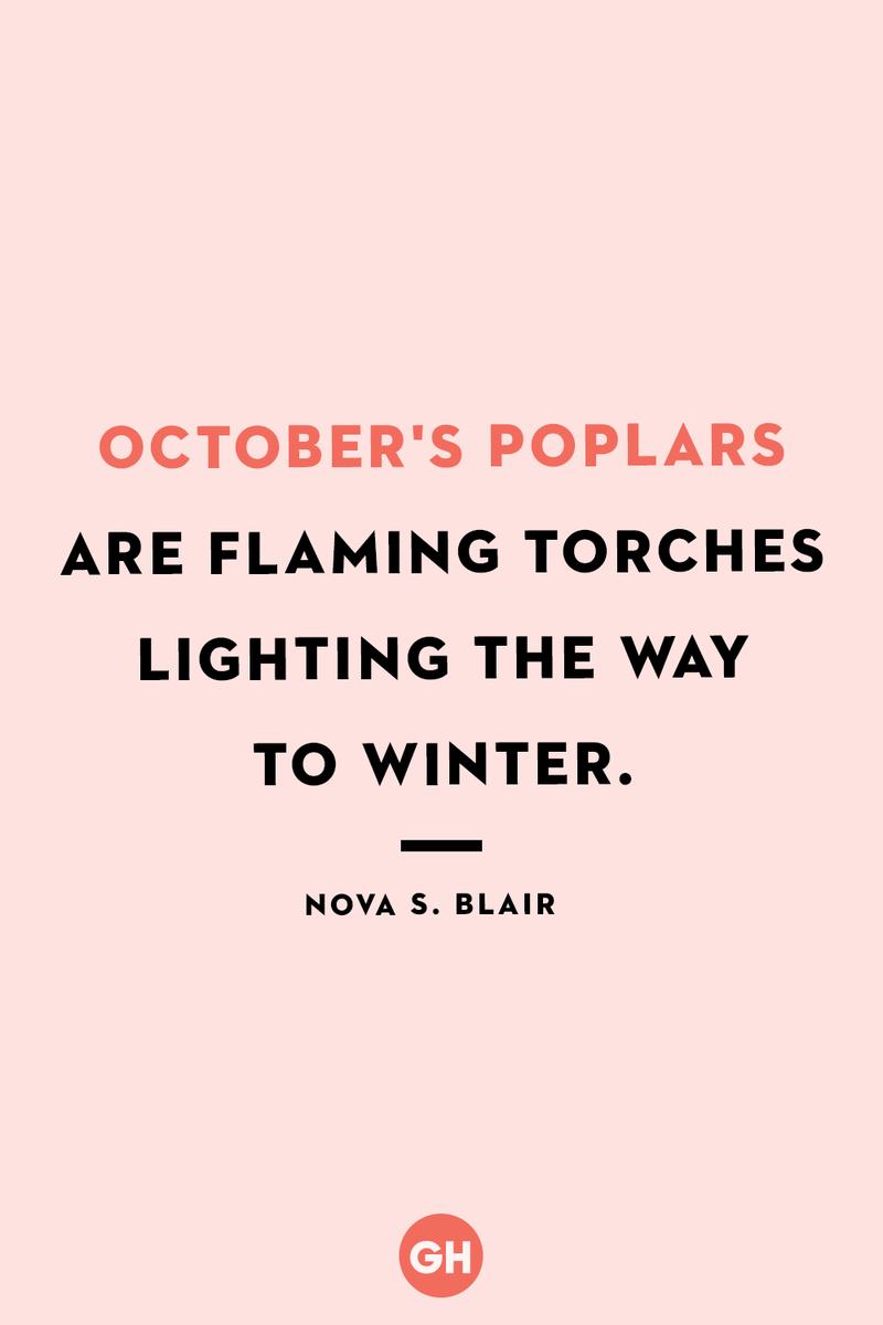 <p>October's poplars are flaming torches lighting the way to winter.</p>