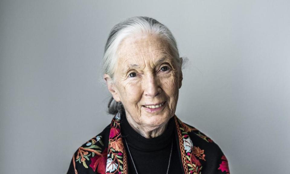 Jane Goodall