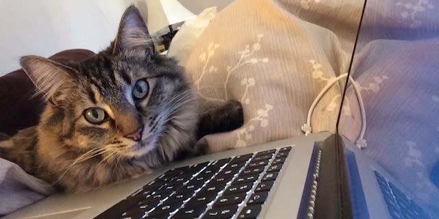 Lily hugging a MacBook Pro with Retina display