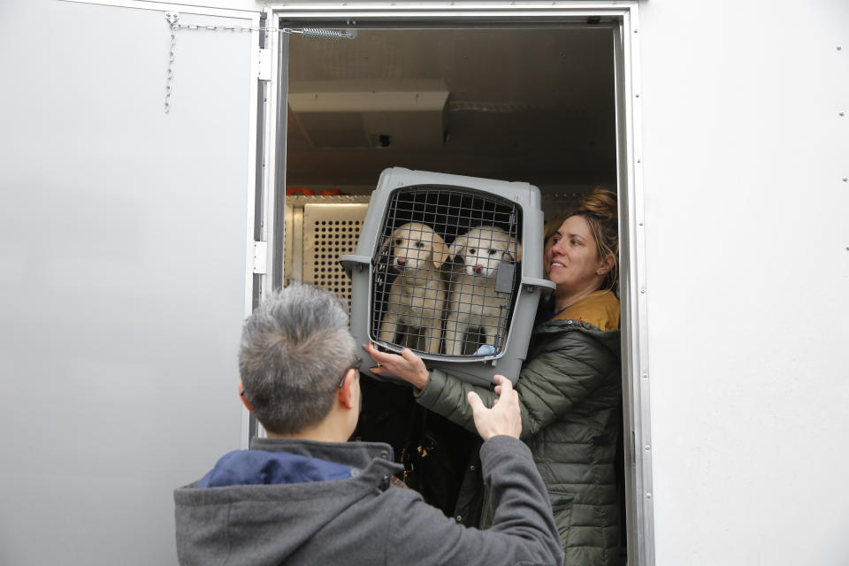 <p>Animal Haven volunteer Nicole Smith passes a crate to Animal Haven Director of Operations Mantat Wong, containing two dogs rescued from a South Korean dog meat farm by Humane Society International (HSI), on Sunday, March 26, 2017, in New York. HSI reached an agreement with the farmers to permanently close the farm and fly all the dogs to the United States for adoption. This is the seventh dog meat farm the organization has closed in South Korea so far, saving more than 800 dogs as part of its campaign across Asia to end the killing of dogs for consumption. (Andrew Kelly/AP Images for Humane Society International) </p>