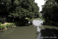 Estero de San Miguel, P. Casal bridge this month.