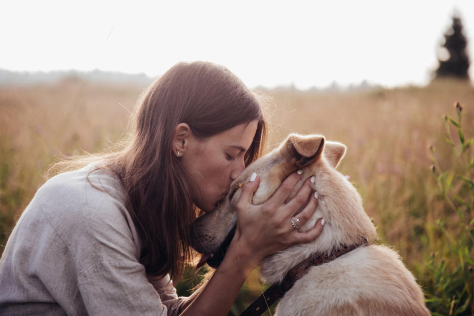 Common traits of gifted dog owners. <p>Gartmanart/Shutterstock</p>