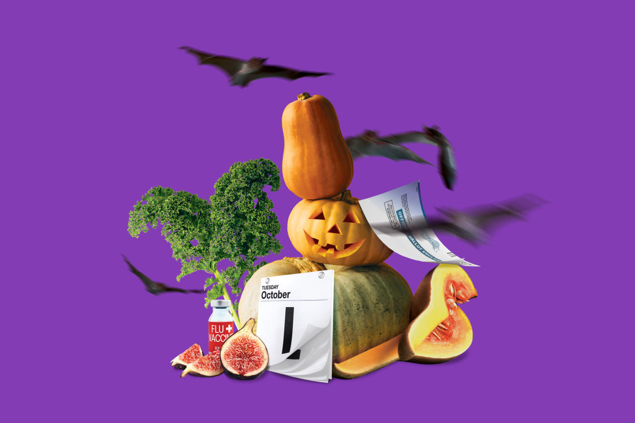 Image of jack-o'-lantern, fig, bat, calendar, kale sprig, among other stock images.