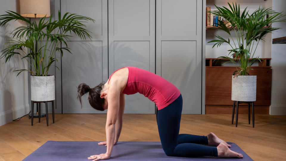 Woman performing the cat-cow yoga stretch