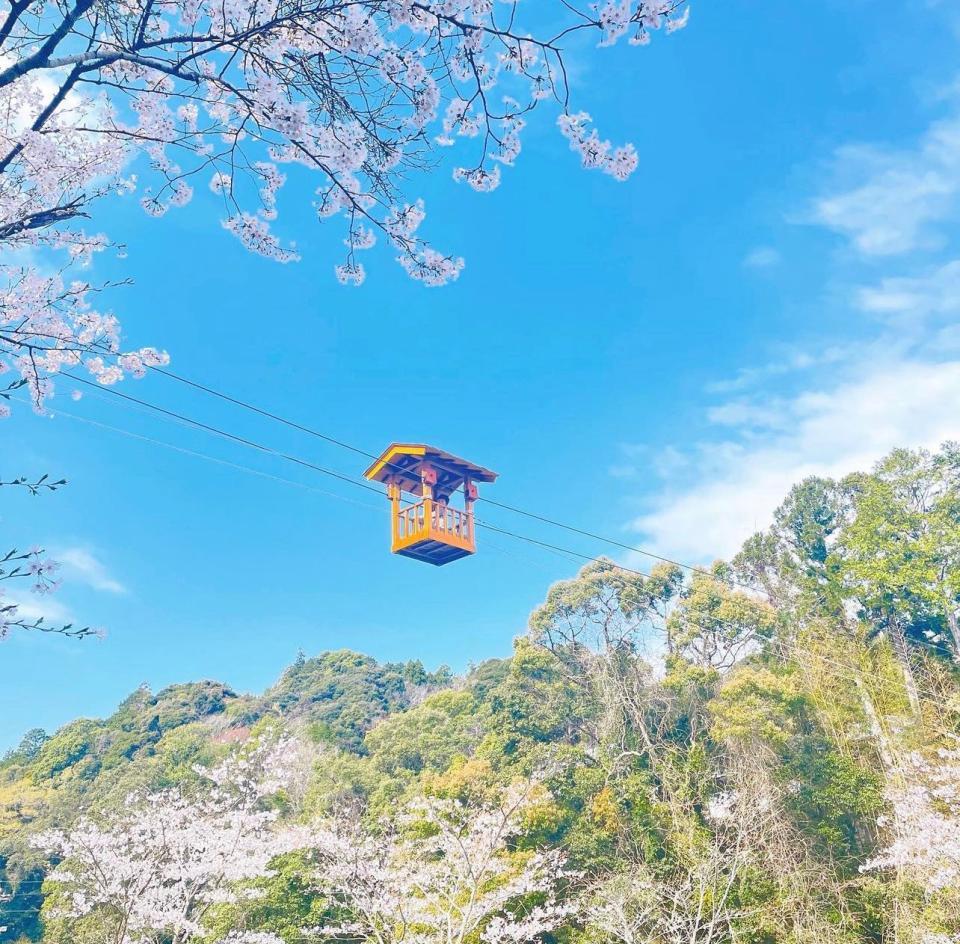 日本櫻花2024｜4大賞櫻特色景點推介！東京公園櫻花樹雲霄飛車/腳踏天鵝船/120米櫻花滑梯/人力迷你小纜車