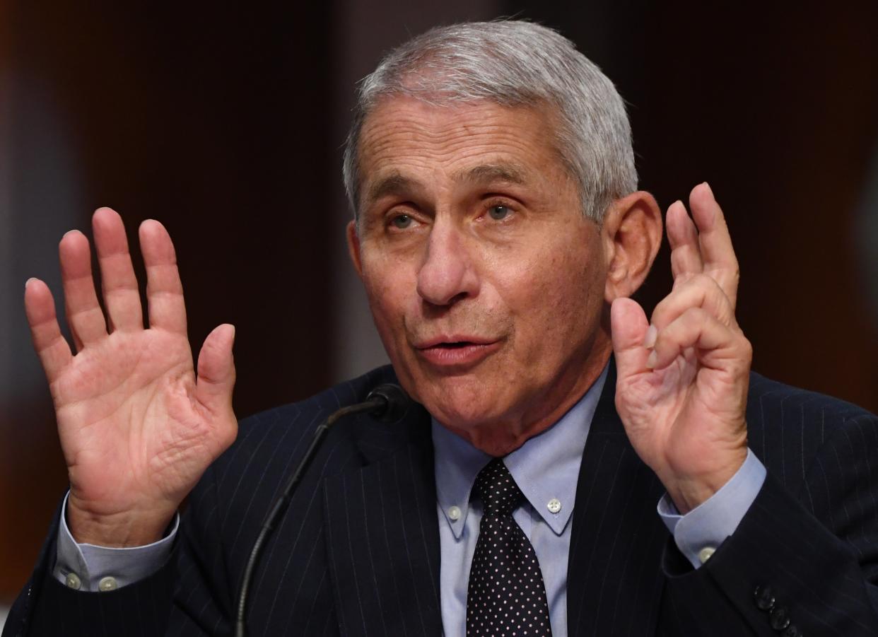 Dr. Anthony Fauci, director of the National Institute for Allergy and Infectious Diseases, testifies before the Senate Health, Education, Labor and Pensions (HELP) Committee hearing on Capitol Hill in Washington DC on 30 June, 2020 in Washington, DC. (POOL/AFP via Getty Images)