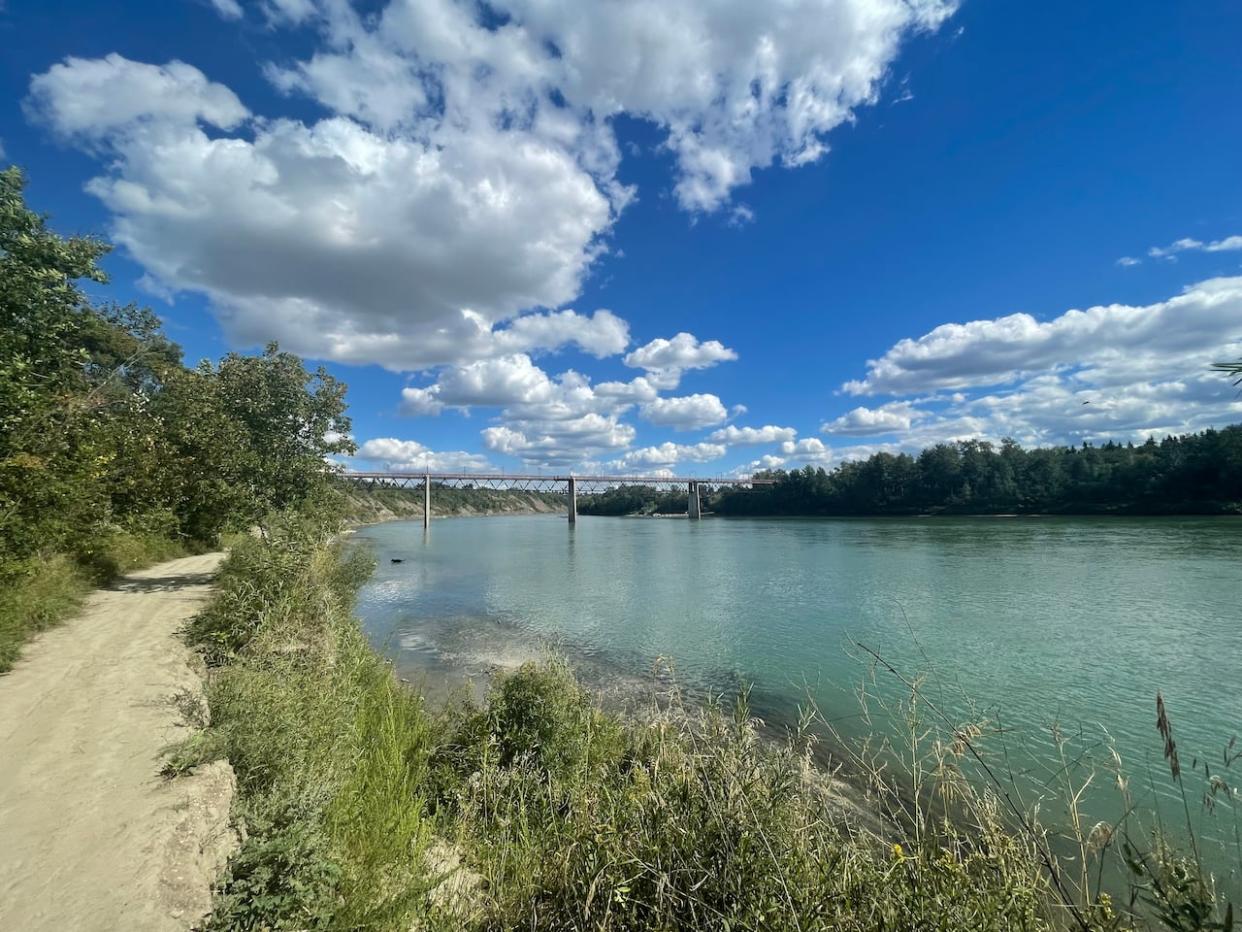 The North Saskatchewan River that stretches from the Rocky Mountains through the Prairies is one of Alberta's seven major river basins.  (Wallis Snowdon/CBC - image credit)