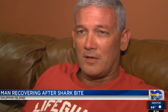 Man bitten by shark while fishing on Dauphin Island, Alabama