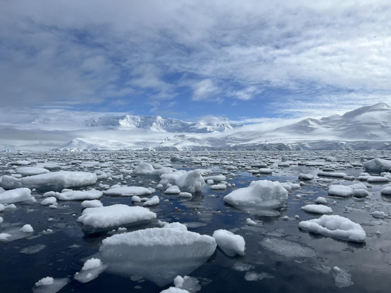 Cunningham's visit to Antarctica inspired her to speak out (EE Cunningham) 