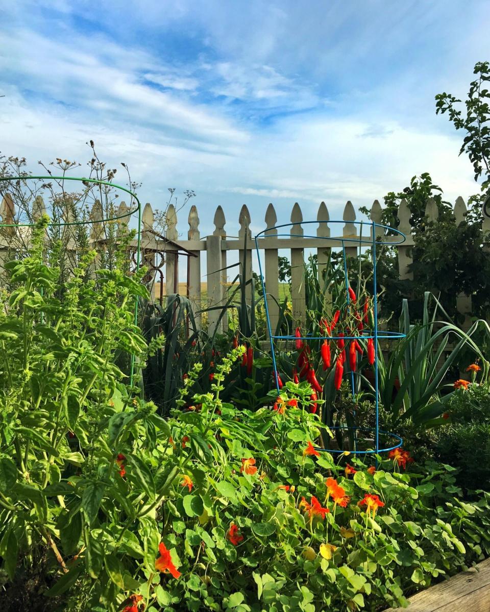 small garden veggies