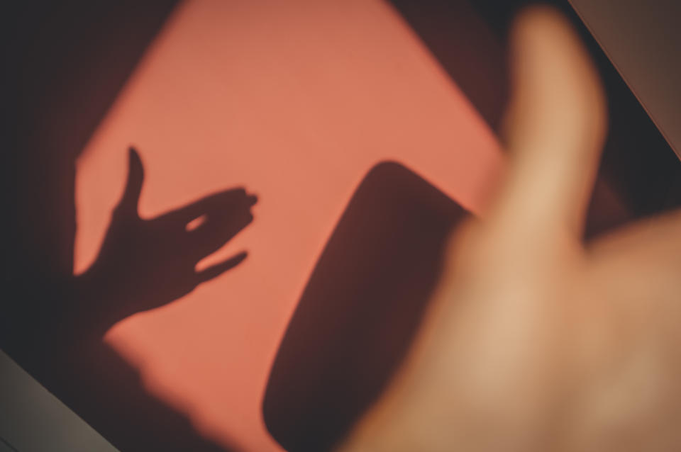 A shadow on the wall from the hand in the shape of a dog's head. Light from the window in the early morning. In the apartment. High quality photo