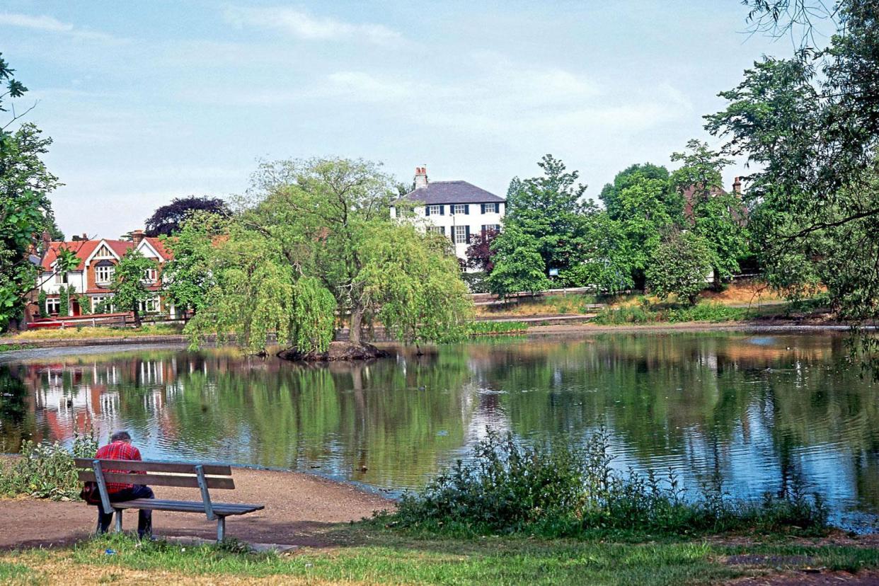 Rich history: Chislehurst Common’s 180  acres include woods and ponds