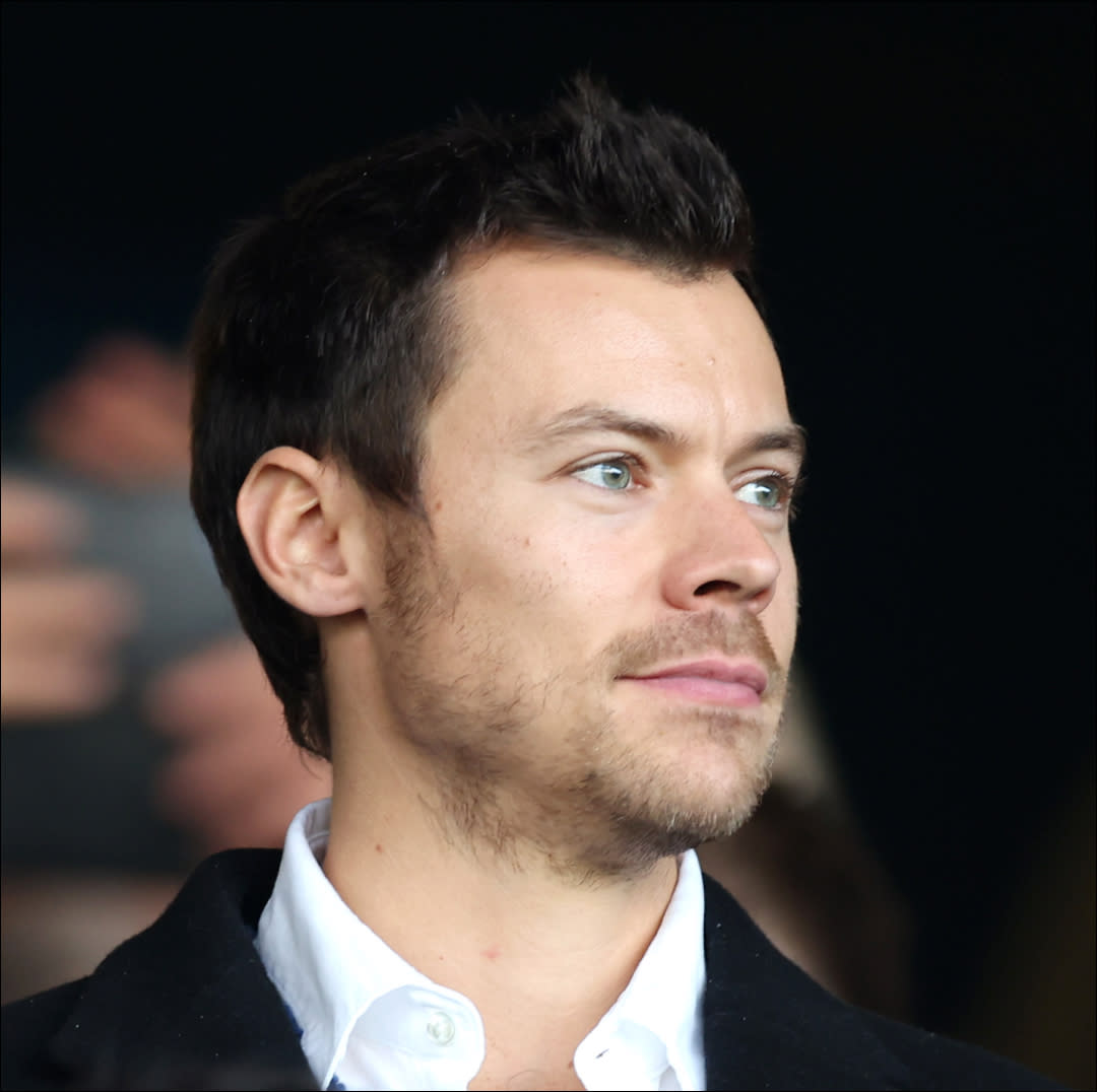  Harry Styles, English Singer, looks on prior to the Premier League match between Luton Town and Manchester United at Kenilworth Road on February 18, 2024 in Luton, England. 