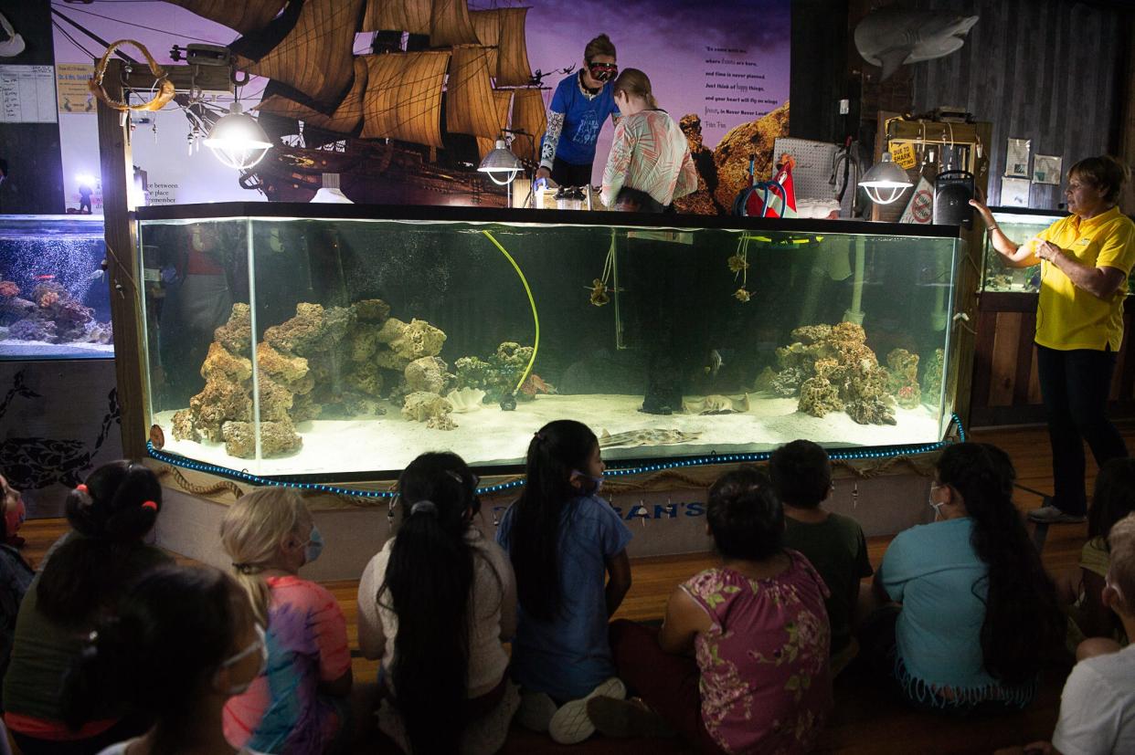 Henderson County Public Schools Assistant Superintendent Wendy Frye dipped into the shark tank with Team ECCO staff during Clear Creek Elementary's field trip in the summer of 2021.