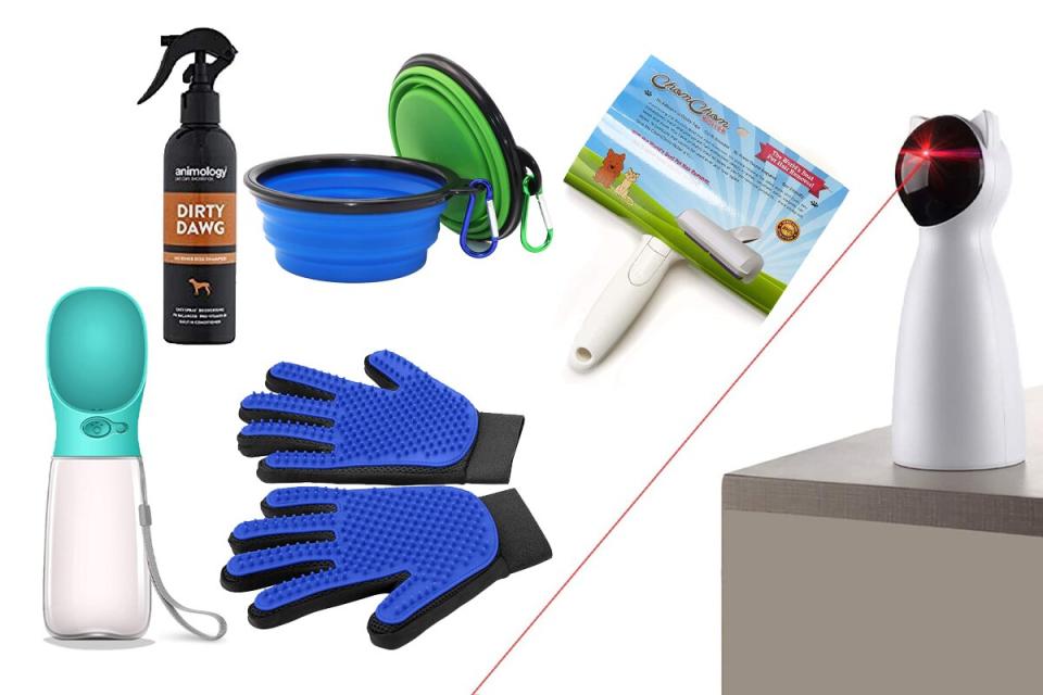 Amazon Pet Accessories