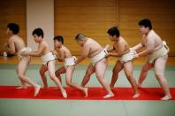 The Wider Image: Meet Kyuta: the 10-year-old, 85-kilo sumo in training