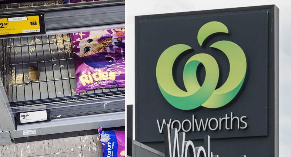 A dead mouse appears to be under a grill next to opened Ricies cereal at the Woolworths Pukekohe store in New Zealand.