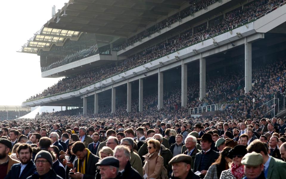 Crowds in the stands during day four of the Cheltenham Festival at Cheltenham Racecourse -  PA Images via Reuters Connect