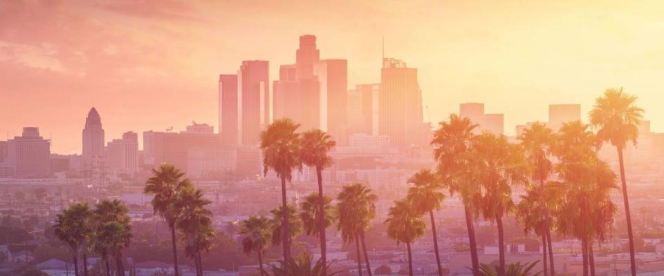 Los Angeles hot sunset view with palm tree and downtown in background. California