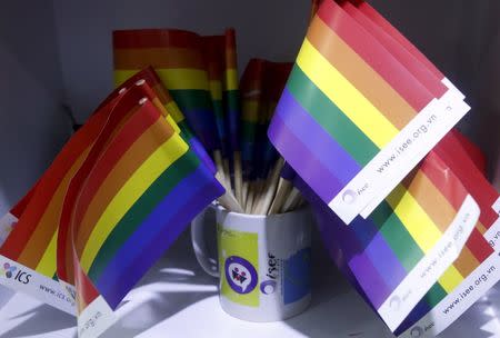 Gay rainbow flags are seen at social research institute during a meeting of gay people in Hanoi, Vietnam, November 26, 2015. REUTERS/Kham