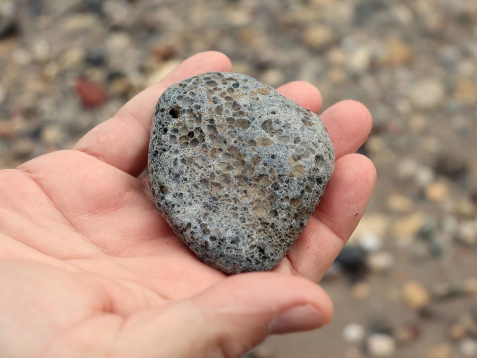 Fossilized coral found along Lake Michigan