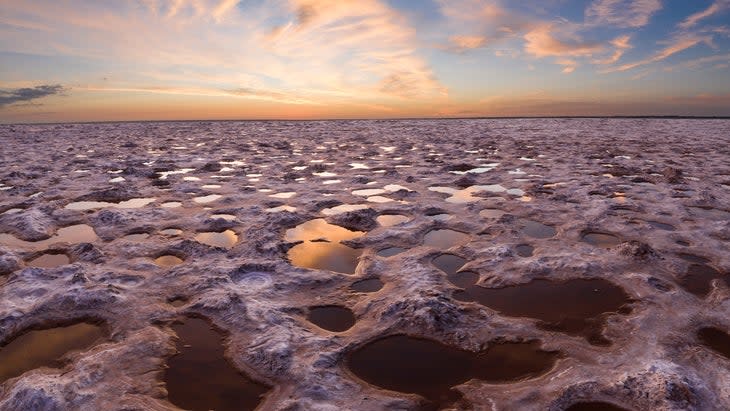 <span class="article__caption">Dig sites stretch scross Salt Plains National Wildlife Refuge, Oklahoma</span> (Photo: Cavan Images/Getty)