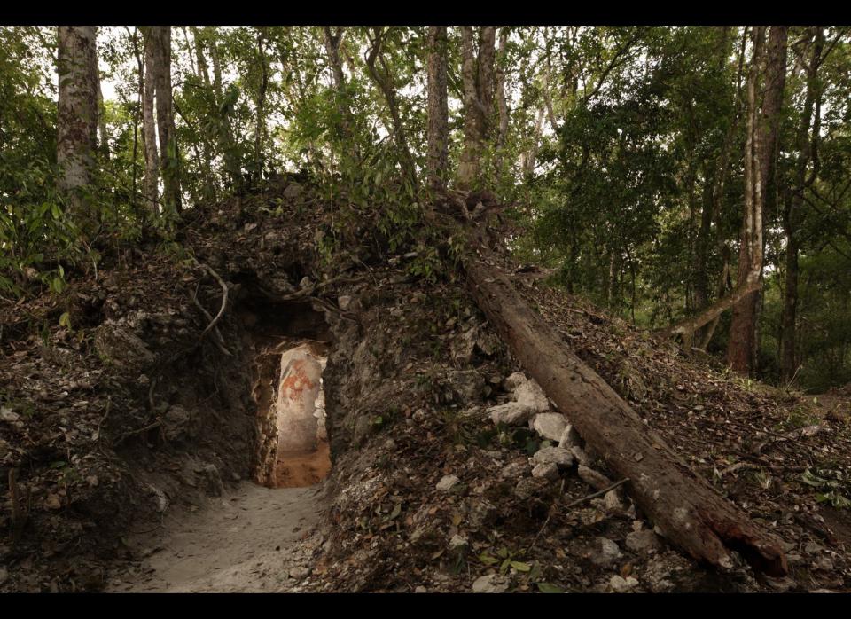 Trees grow atop a newly discovered mound over a house built by the ancient Maya that contains the rendering of an ancient figure, possibly the town scribe. The house sits at the edge of the ancient site of Xultún in Guatemala, a city that once housed tens of thousands of people. Excavation and preservation of the site were supported by the National Geographic Society.    Photo by Tyrone Turner © 2012 National Geographic