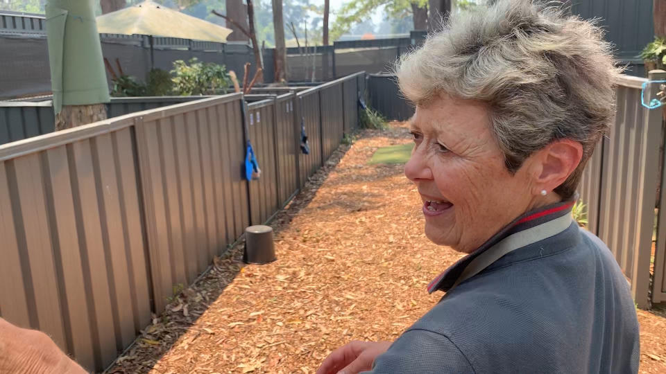 Sue Ashton at the koala park amongst the Colourbond pens. 