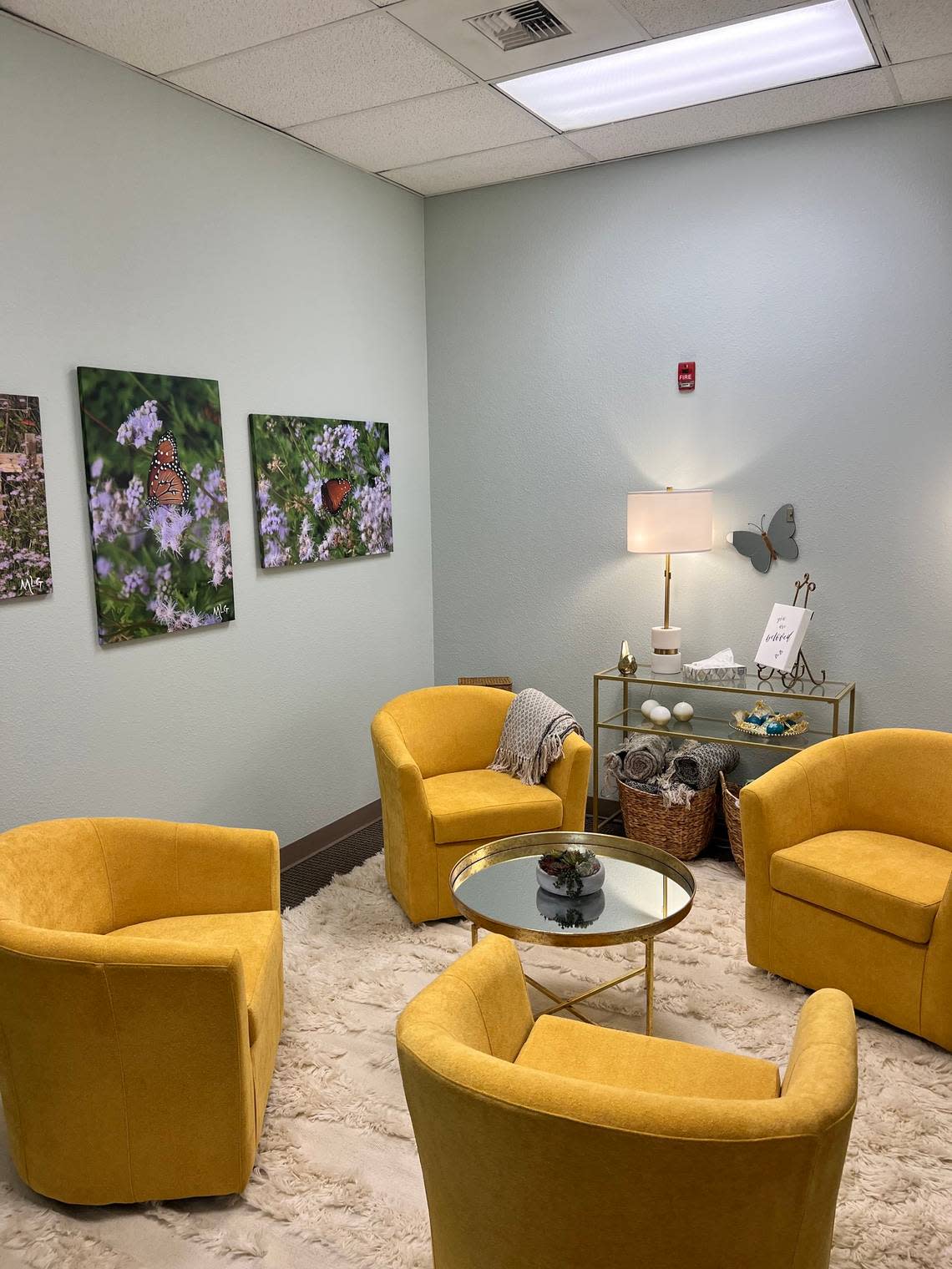 The Sacramento County Sheriff’s Office unveiled new “soft interview rooms” Thursday at their Central Station, 7000 65th St. It’s a room incorporating non-triggering artwork and muted colors to help victims be at ease while talking to law enforcement. Sacramento County District Attorney's Office