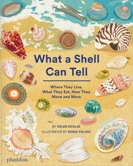 “What a Shell Can Tell” by Helen Scales, illustration by Sonia Pulido (Phaidon, ages 6 – 9)