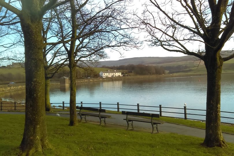 The girl was subjected to the horrifying attack at Hollingworth Lake in Rochdale (Reach)