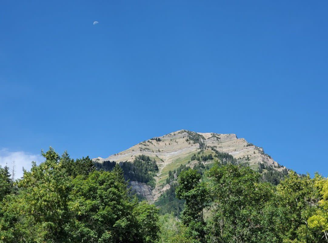 View of mountaintop from Tree Room in Utah