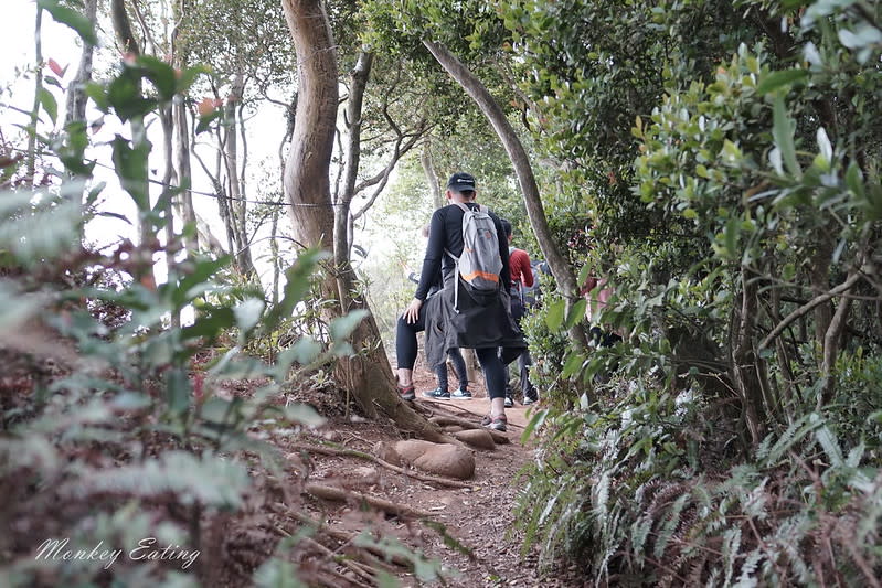 苗栗三義｜火炎山登山步道