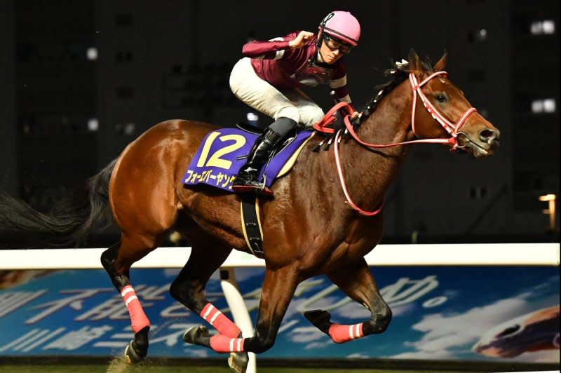 Forever Young wins Wednesday's Zen-Nippon Nisai Yushun at Kawasaki Racecourse, vaulting to the top of the "Japan Road to the Kentucky Dery leaderboard. Photo by and courtesy of Katsumi Saito