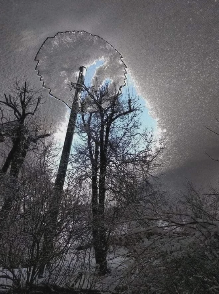 A view from below of trees seen through a circular hole in an ice-covered roof, revealing a patch of blue sky