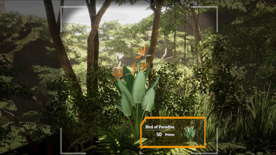 Morels: The Hunt 2 screenshot