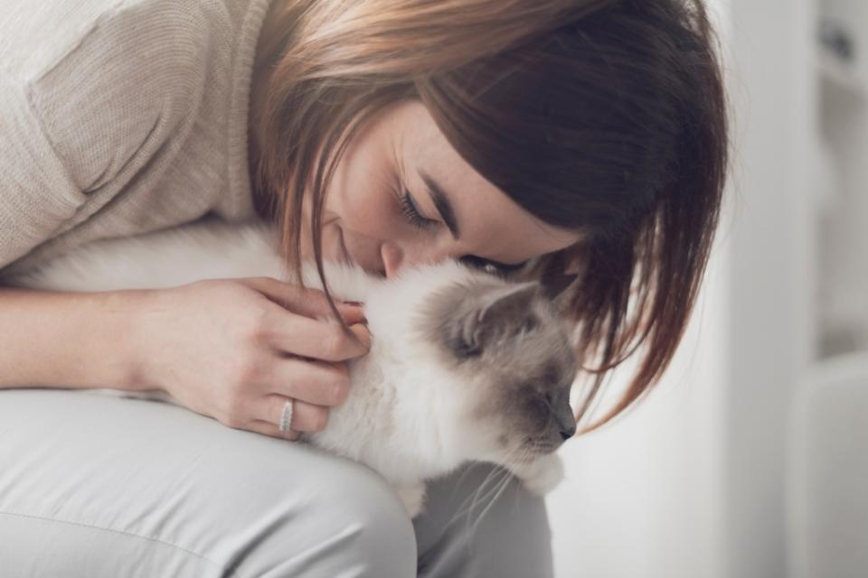 抱貓咪是有技巧的，姿勢正確，能夠增進跟寵物之間的感情。圖/123RF圖庫