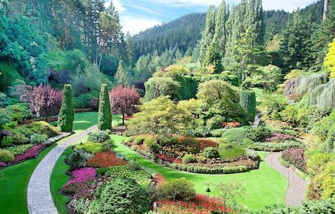 The Sunken Garden in Butchart Gardens - Credit: iStock