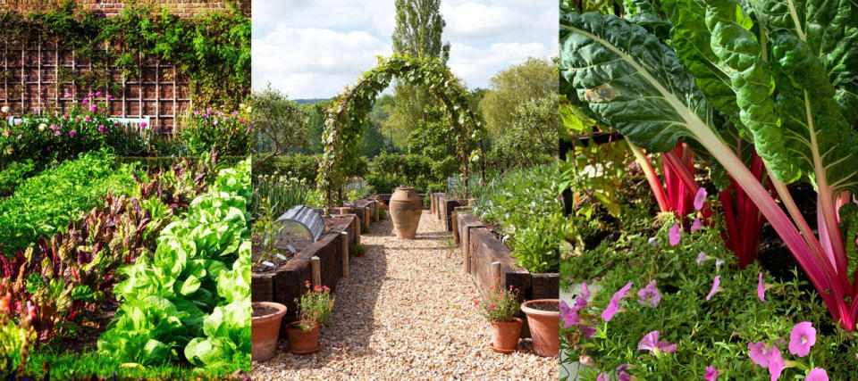 Embrace the 'grow your own' revolution with these vegetable garden ideas