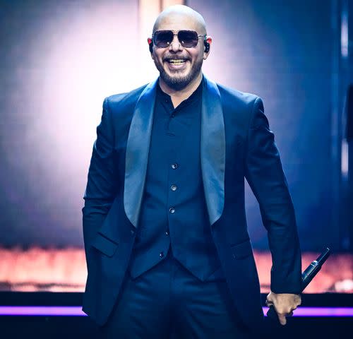 <p>Keith Griner/Getty</p> Pitbull