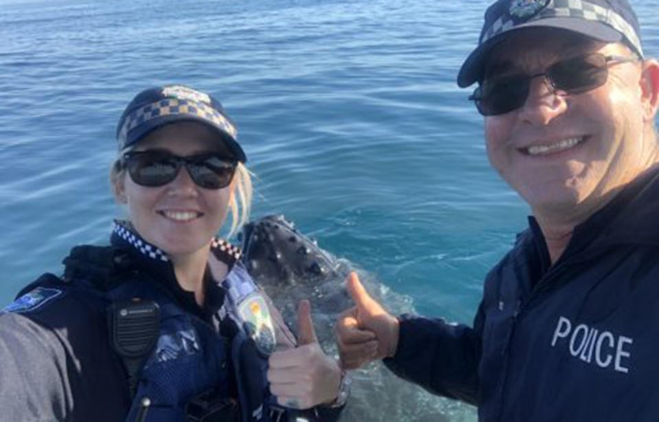 Sarina Police officers pose for a selfie with the humpback whale. 