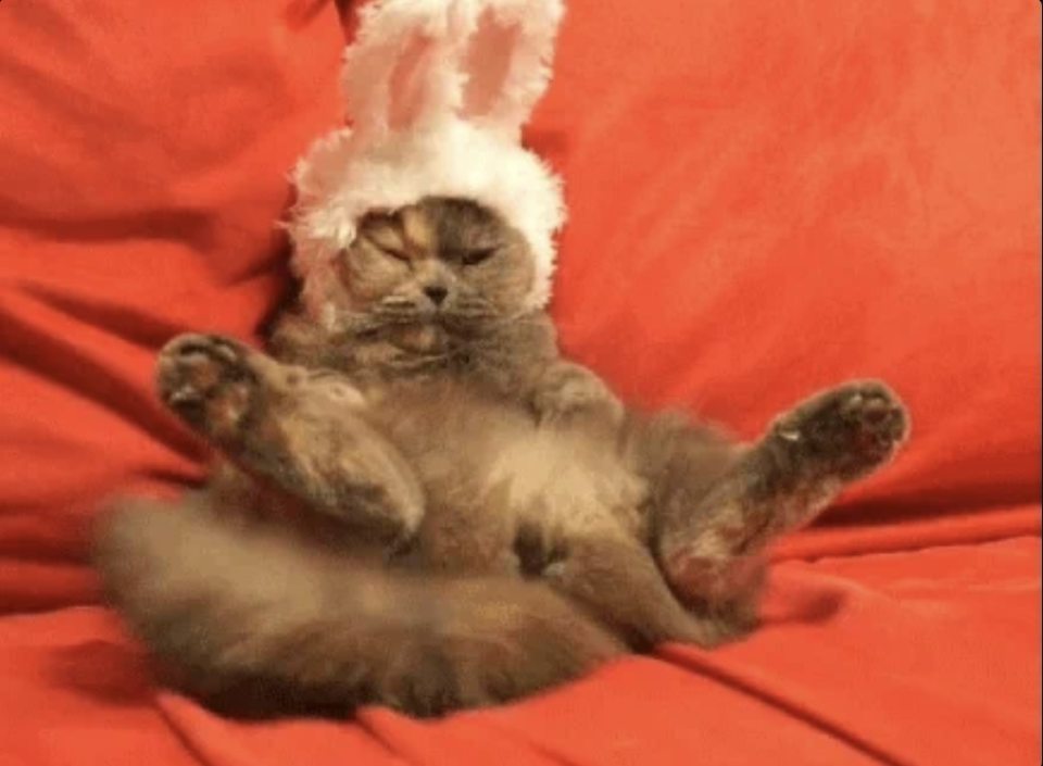 A fluffy cat is resting on a red cushion, wearing a white bunny ear headband