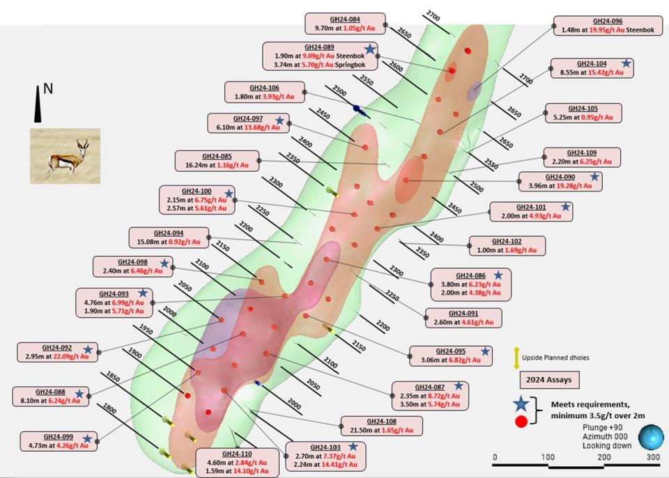 Figure 2. Springbok Zone 2024 Infill Drilling Results