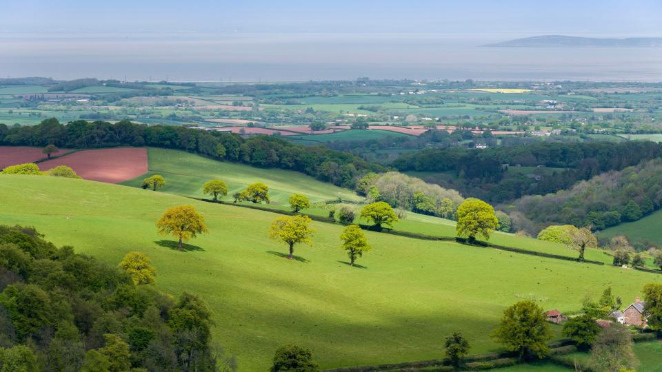 Green hills and fields detailed with trees stretch over to the horizon