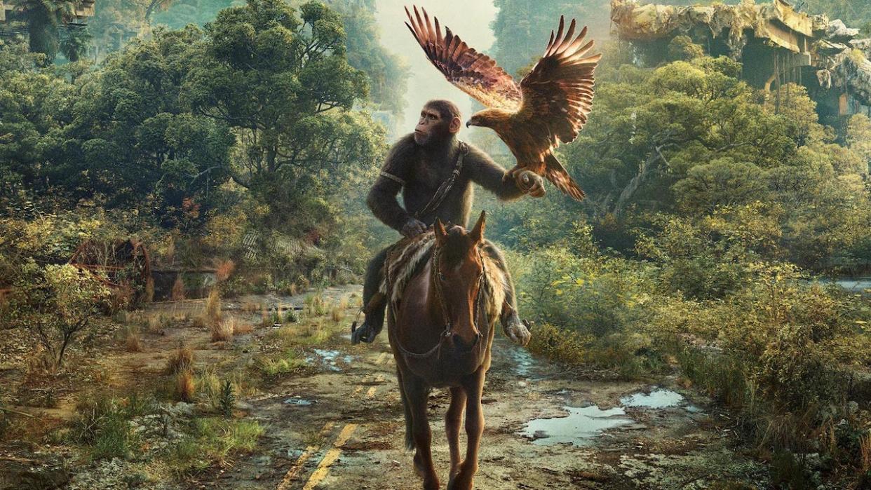  Noa riding horse with falcon on his arm in Kingdom of the Planet of the Apes. 