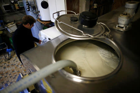 A French dairy farmer who collects milk from his cows is seen at his farm in La Planche, near Nantes, France, January 21, 2015. REUTERS/Stephane Mahe/File Photo