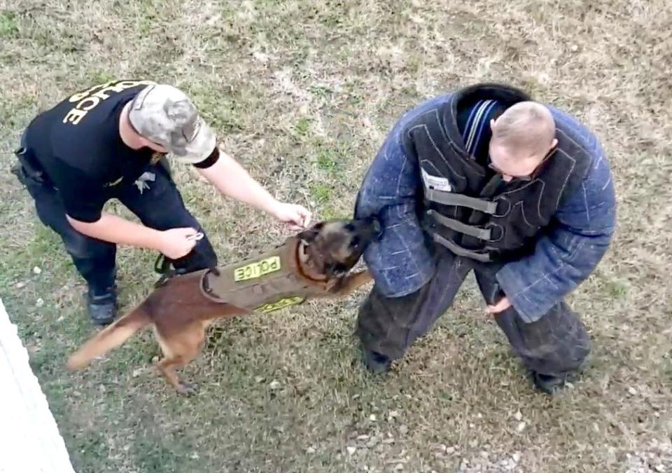 Officials with the Panama City Beach Police Department say K-9s are valuable members of local law enforcement. They also say the department probably will consider adding more K-9s in the future.